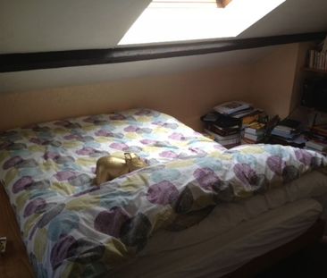 Location Appartement 1 pièce 12m² - Photo 5