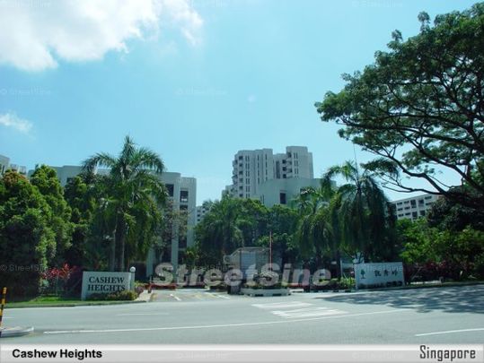Cashew Heights Condominium (D23), Condominium - For Rent - Photo 1