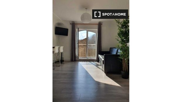 1-bedroom apartment for rent in Saint James Gate, Dublin - Photo 1