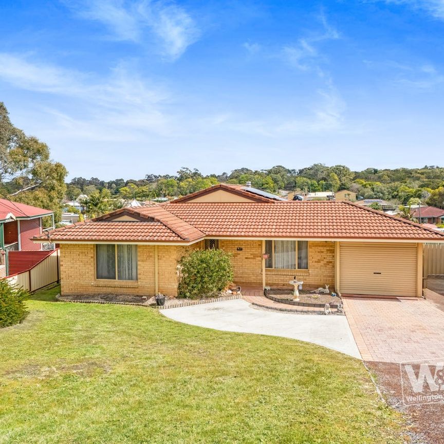 ECO-FRIENDLY COST SAVINGS - Photo 1