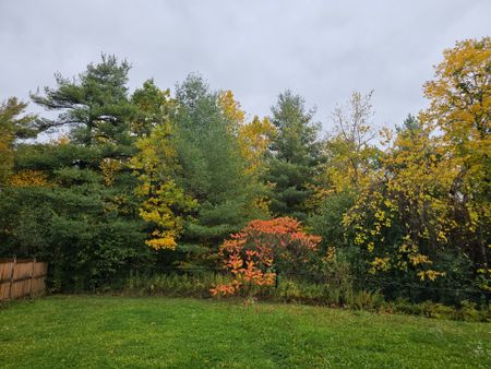 For Lease - 63 Collin Court, Richmond Hill, Ontario - Photo 4