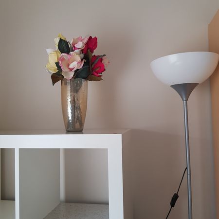 Dover Gardens - Photo 5