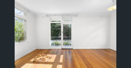 Light filled gem in peaceful tree lined street - Photo 2