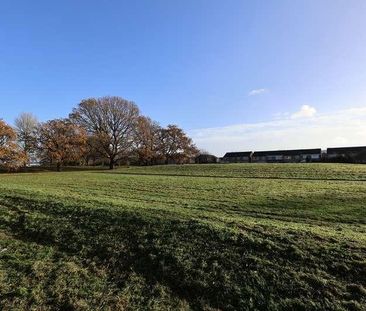 Cadnam Way, Bournemouth, BH8 - Photo 4