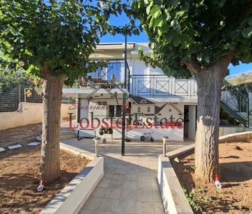 Μονοκατοικία για ενοικίαση Λαγονήσι (Καλύβια Θορικού) - Photo 1