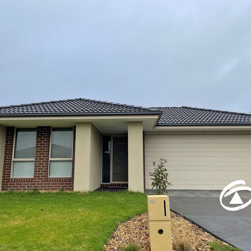 56 Kamona Street, 3978, Clyde Vic - Photo 1