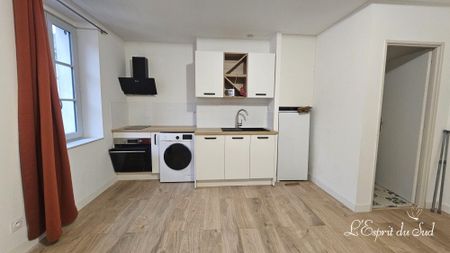 Location Appartement 2 pièces 40m² RABASTENS 81800 - Photo 5