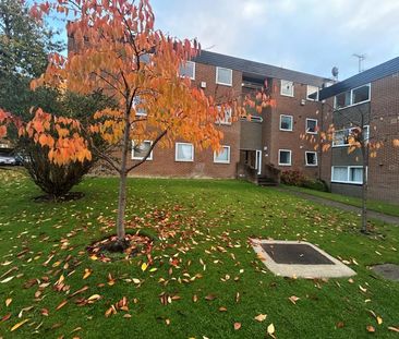 Rosetrees, Guildford - 2 bedrooms Property for lettings - Seymours - Photo 5