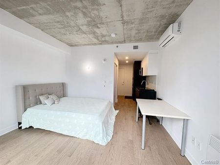 Appartement à louer - Montréal (Ville-Marie) (Centre) Appartement à louer - Montréal (Ville-Marie) (Centre) - Photo 3