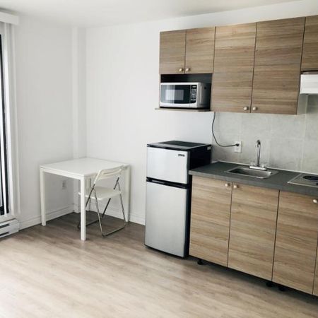 1 1/2 - Montréal (La Petite-Patrie) - 990 $/mois - Photo 3