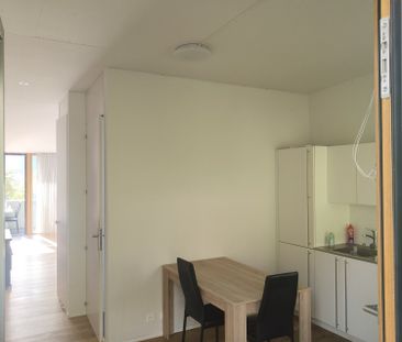Studio de 50 m2 + terrasse + parc + cave - Photo 3