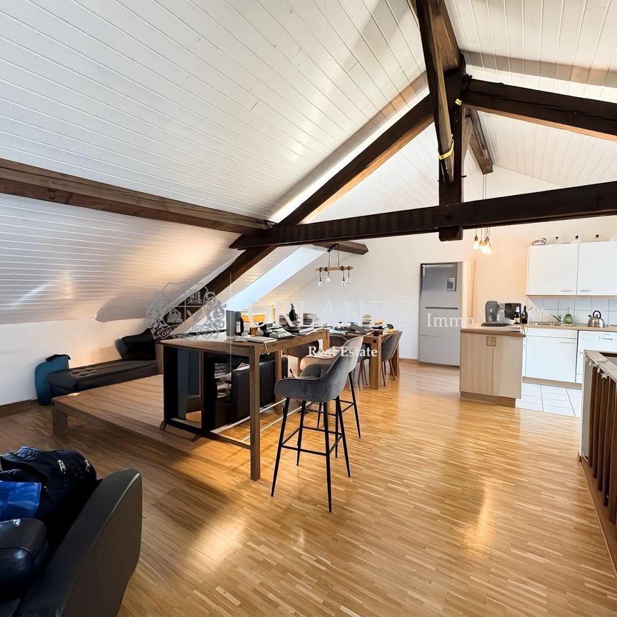 Beautiful 3-room apartment in antique in Carouge - Photo 1