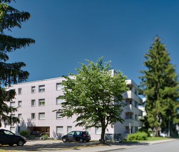 Appartement 1.5 pièce au rez - Photo 1