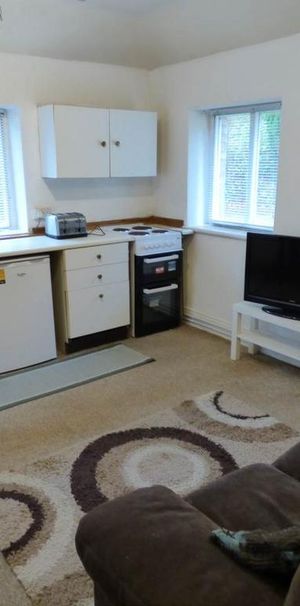 1 bedroom house to rent - Photo 1