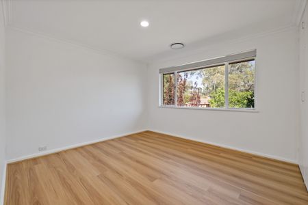 A Relaxed Lifestyle in a Quiet Chifley Pocket! - Photo 4