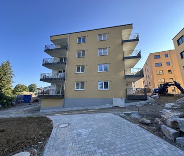 Neubaumietwohnungen in TOP-Lage von Horb-Hohenberg - Foto 6