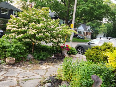 For Lease - 27 Wood Glen Road Unit# MAIN, Toronto, Ontario - Photo 5