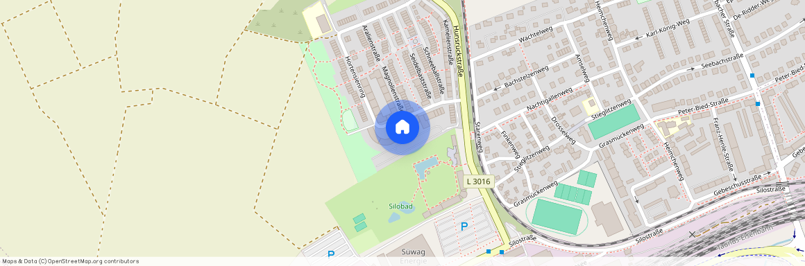 Hortensienring 13, 65929 Frankfurt am Main OT Unterliederbach