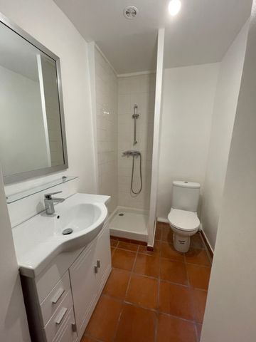 Location Appartement 1 pièce 20m² AIX EN PROVENCE 13100 - Photo 4