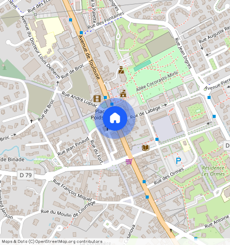 CASTANET TOLOSAN (31320)