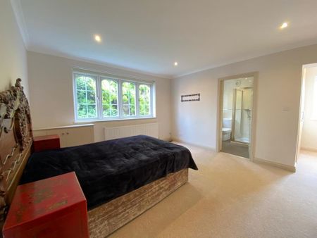 3 bedroom detached bungalow to rent - Photo 5
