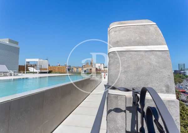 Luxury Apartment for rent on Paseo Colón (Gothic Quarter)