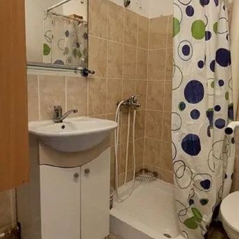 Si pentru clienti cu animal de companie - garsoniera Podu Ros Mathaus - Fotografie 3