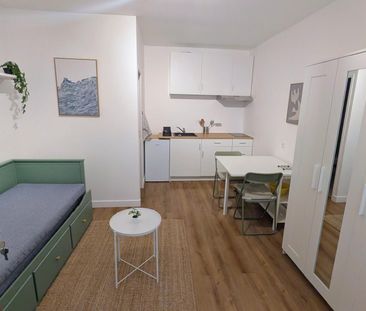 Location Appartement 1 pièce 17m² FONTAINEBLEAU 77300 - Photo 5