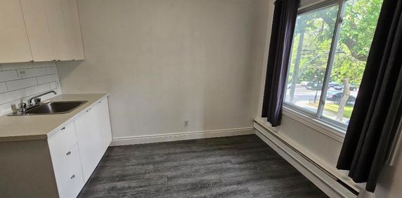 Joli studio meublé ( 2 ½ avec Chambre fermée ) en plein cœur de Rosemont - Photo 2