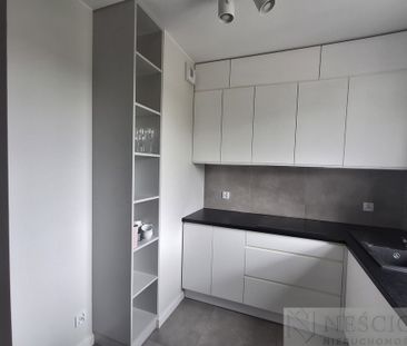 Siedlce - Zdjęcie 6