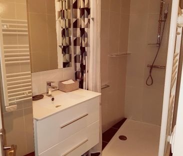 Location Appartement 1 pièce 28m² CANNES 06400 - Photo 5