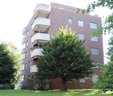 Helle 4.5-Zimmerwohnung an ruhiger Lage in Bottmingen - Foto 3