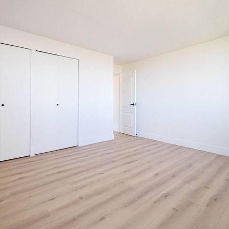 LIBRE - Face au Collège Bois-de-Boulogne Ahuntsic Montreal - appartement/ logement à louer - Photo 3