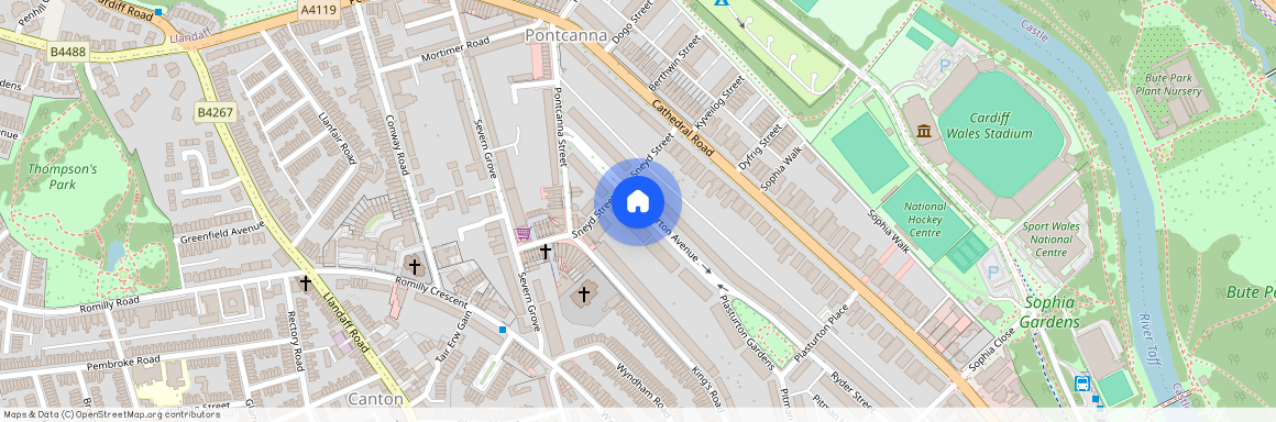 Plasturton Avenue, CF11 9HJ, Pontcanna