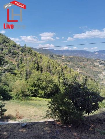 Μονοκατοικία για ενοικίαση Στύλια (Ξυλόκαστρο) - Φωτογραφία 2