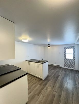 Nouveauté sur le marché Appartement à louer - Montréal (Mercier/Hochelaga-Maisonneuve) (Hochelaga-Maisonneuve) - Photo 1