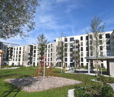 Grosszügige 2.5 Zimmerwohnung in Wetzikon - Photo 5