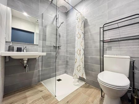 Location Appartement 1 pièce 18m² ALBI 81000 - Photo 5