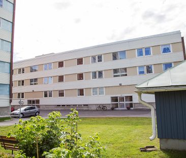 Hamnplan 6 B, 94161, Piteå - Foto 4