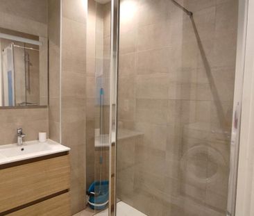 Appartement T3 à GRENOBLE - Photo 4