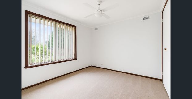 Comfortable Family Home in a Great Hampton Park Location - Photo 1