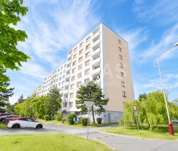 Pronájem bytu 3+1 74 m² - Fotografie 6