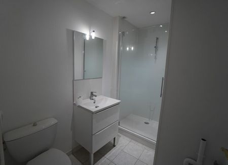 Appartement à louer 2 pièces • 26,50 m2 Dijon - Photo 5