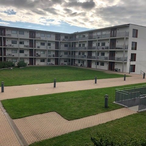 Daugbjergvej - Photo 2