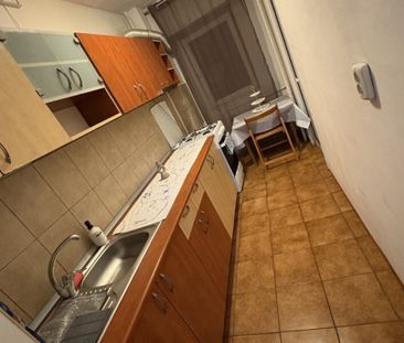 Muncii campia libertatii nicolae licaret - Photo 2