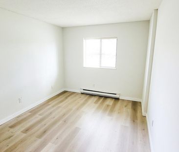 Pinetree Apartments - Photo 2