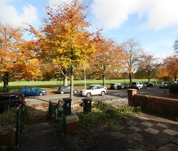 Ninian Road, Roath, Cardiff - Photo 6