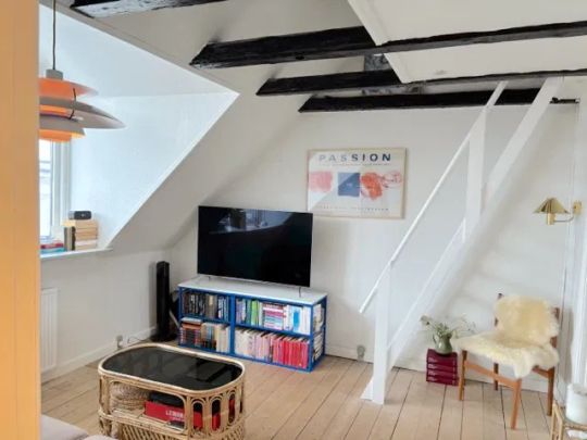 Charmerende lejlighed med hems i hjertet af Aalborg - Foto 1