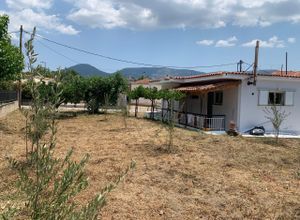 Μονοκατοικία για ενοικίαση - Αμάρυνθος, - Φωτογραφία 4