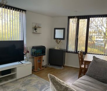 Parklands Gardens, Walsall, WS1, Property for rent - Photo 5